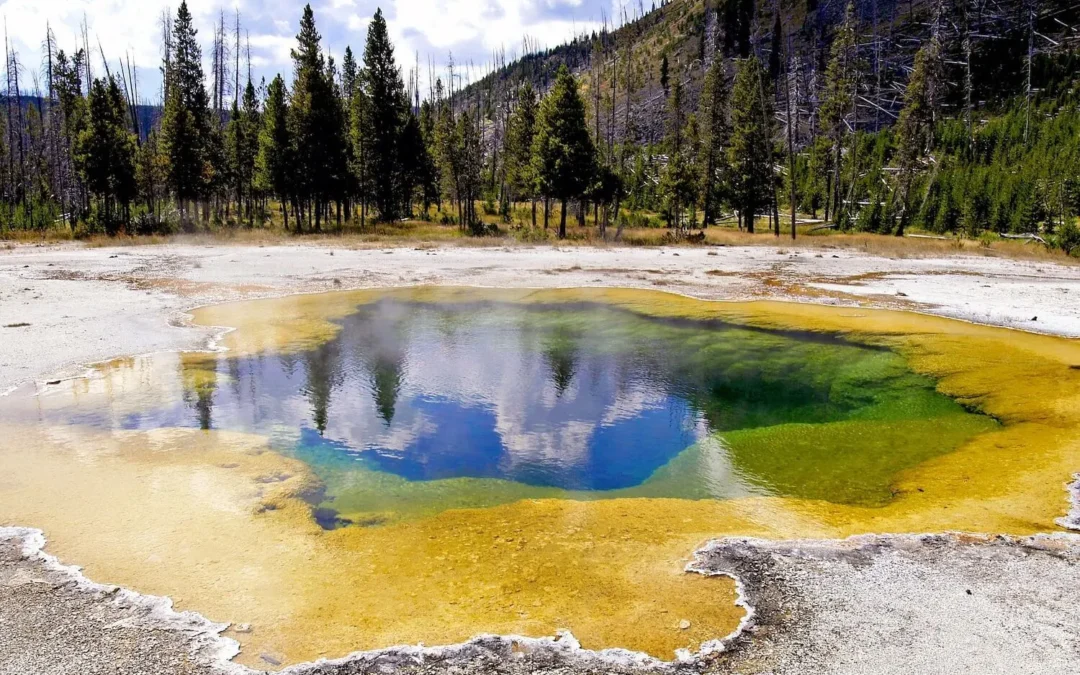 Биоактиваторите са обяснени в 5 стъпки