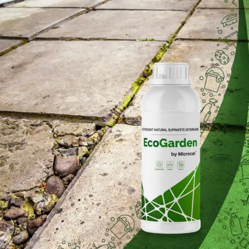 Solutie curatare pavaje si suprafete exterioare